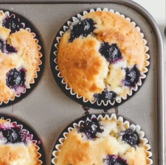 Fresh cottage cheese blueberry muffins baked to perfection